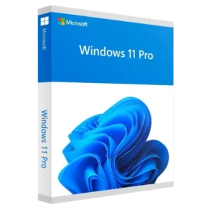 Microsoft Windows 11 Professional License Key